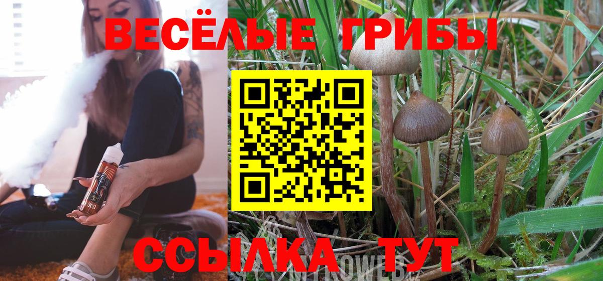 Галлюциногенные грибы мухоморы  Псилоцибиновые грибы мицелий  Вход с VPN  Трёхгорный 